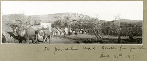 Op de Jeruzalemweg, 8 mijl van Jeruzalem, 14 december 1917
